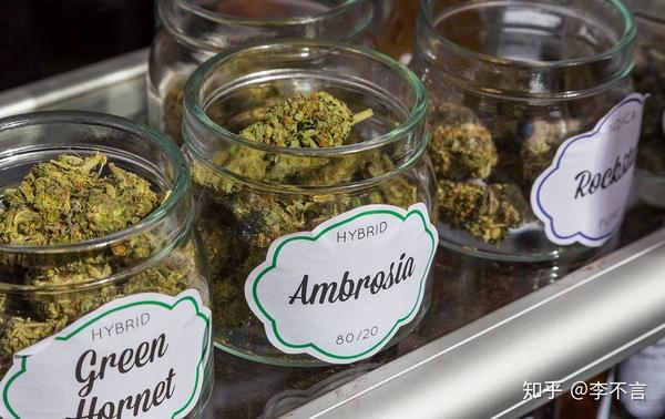 世界首个大麻合法化的国家 准许病号种食 毗邻美国 社保很完善 知乎