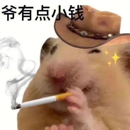 鼠鼠我啊搞笑表情包