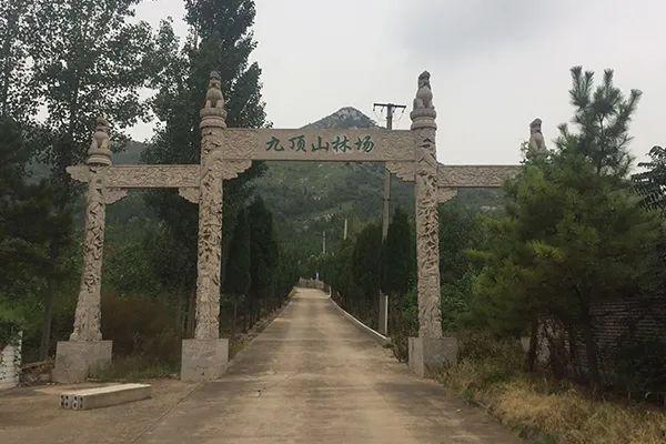 九顶山公墓是济南市的一家大型公墓,位于济南市市中区,占地600亩,是集