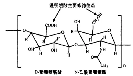 四,透明质酸钠交联聚合物