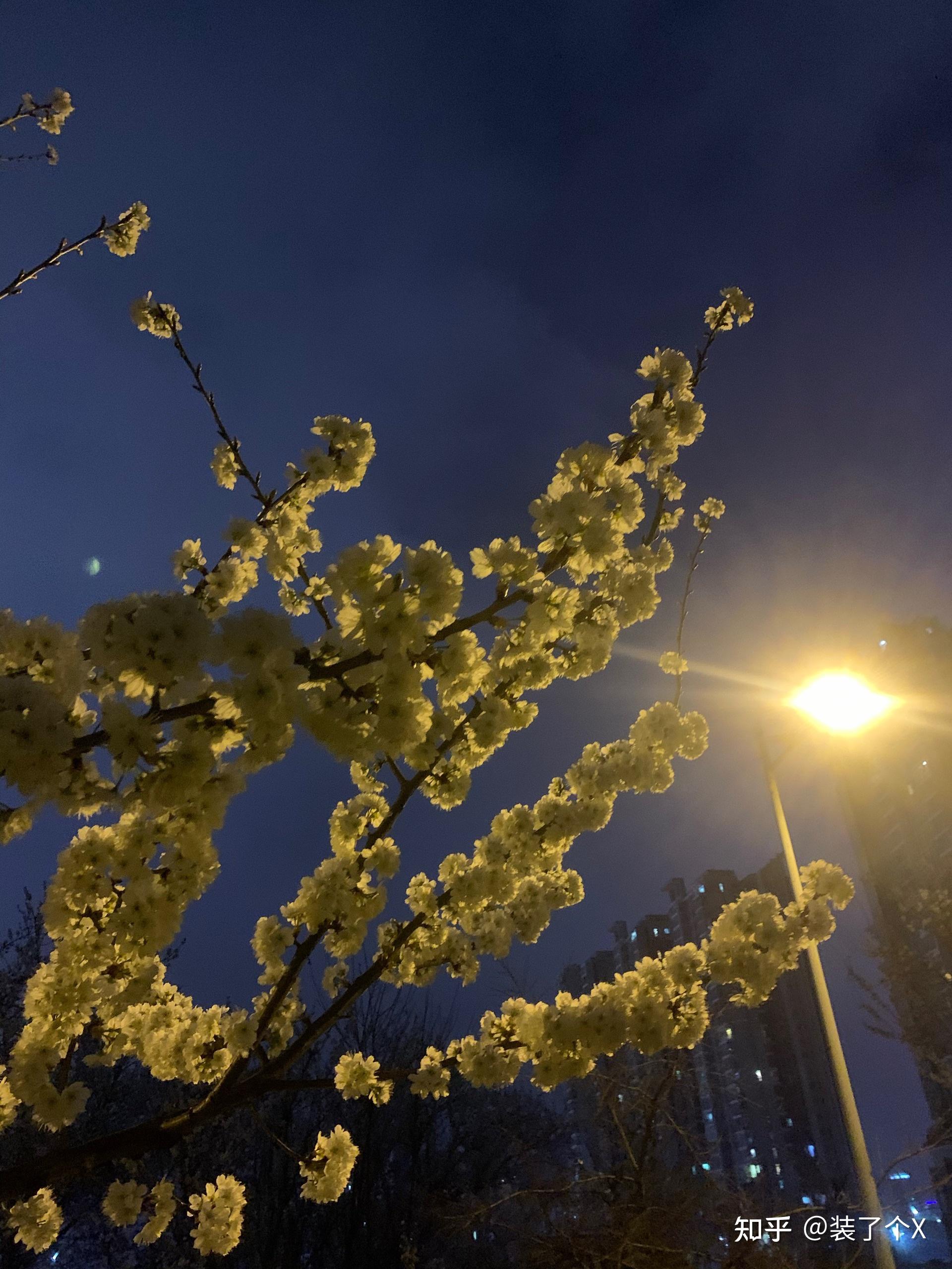 2021年春天你又抓拍到了哪些美景