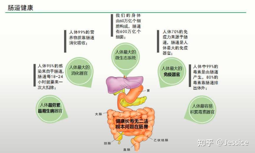 要问肠胃不好怎么改善？肠胃不好吃什么？肠胃不好请遵守“五做！五不做！” 知乎