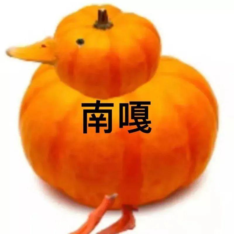 表情包 | 迪嘎朵嘎小八嘎#嘎嘎表情包 - 知乎