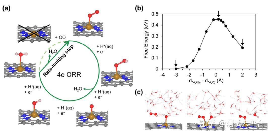 如今鐵氮碳早已爛大街最新jacs質疑催化機制出錯