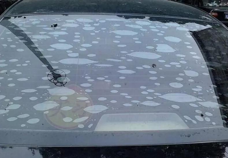 关于车膜起泡五大疑问,车主们都该了解一下