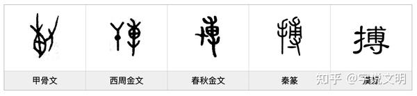 搏——每日一字·手部字 - 知乎