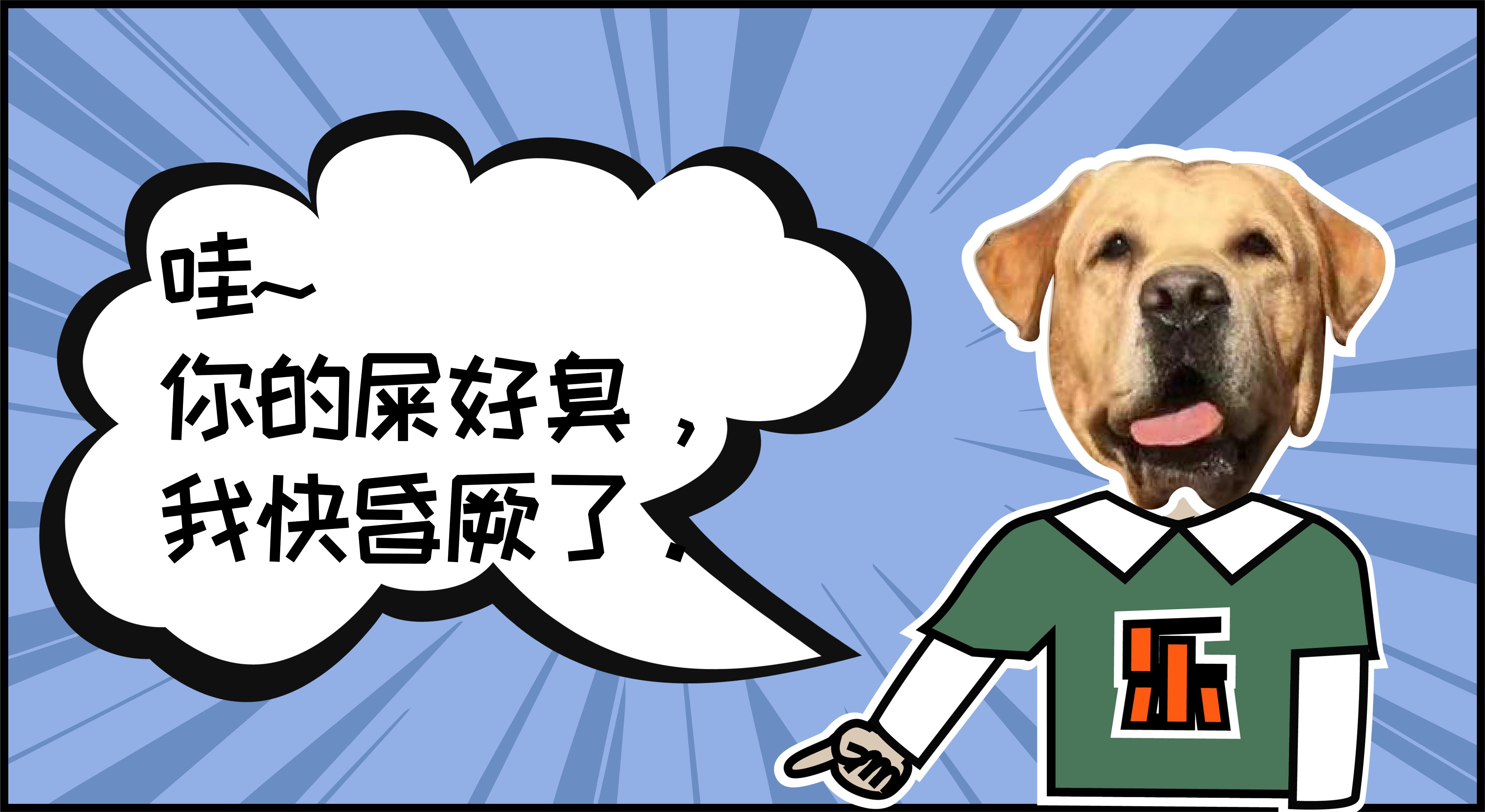 惹万千铲屎官深思的灵魂问题——为什么猫屎比狗屎臭