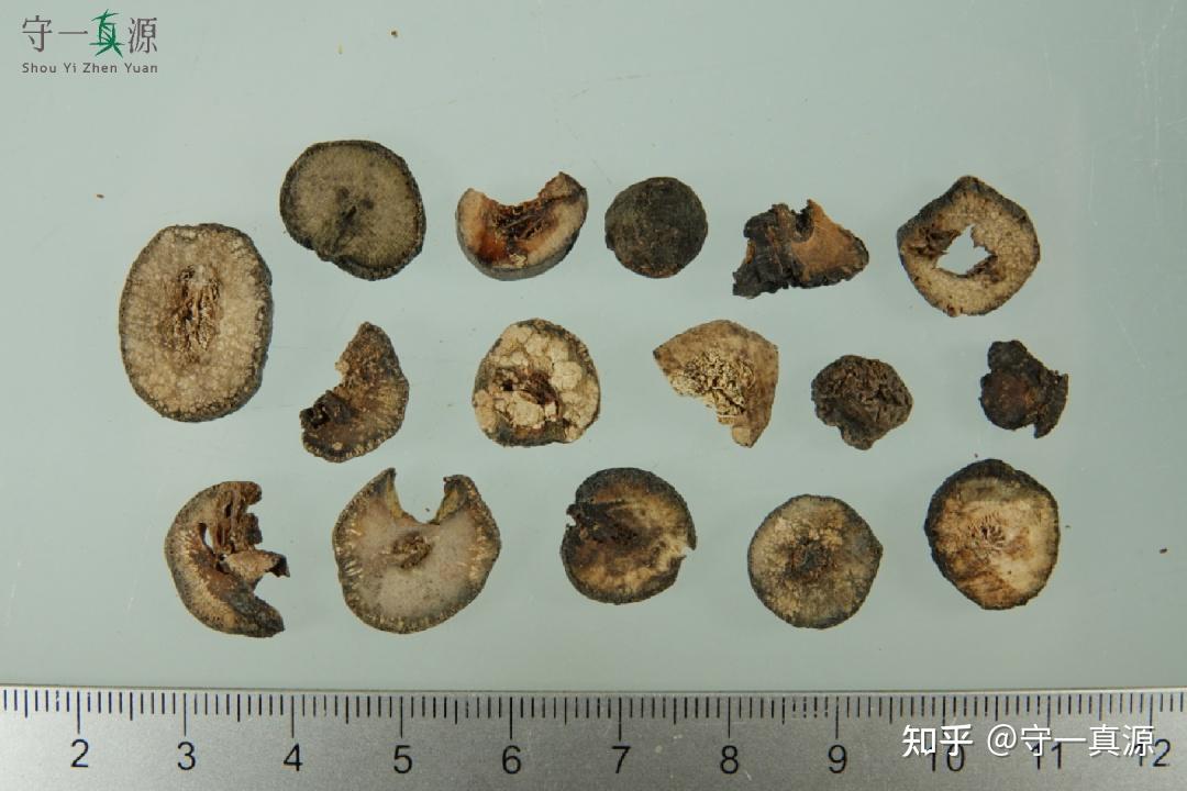 中药鉴定 | 枳实的真伪、优劣鉴别 - 知乎