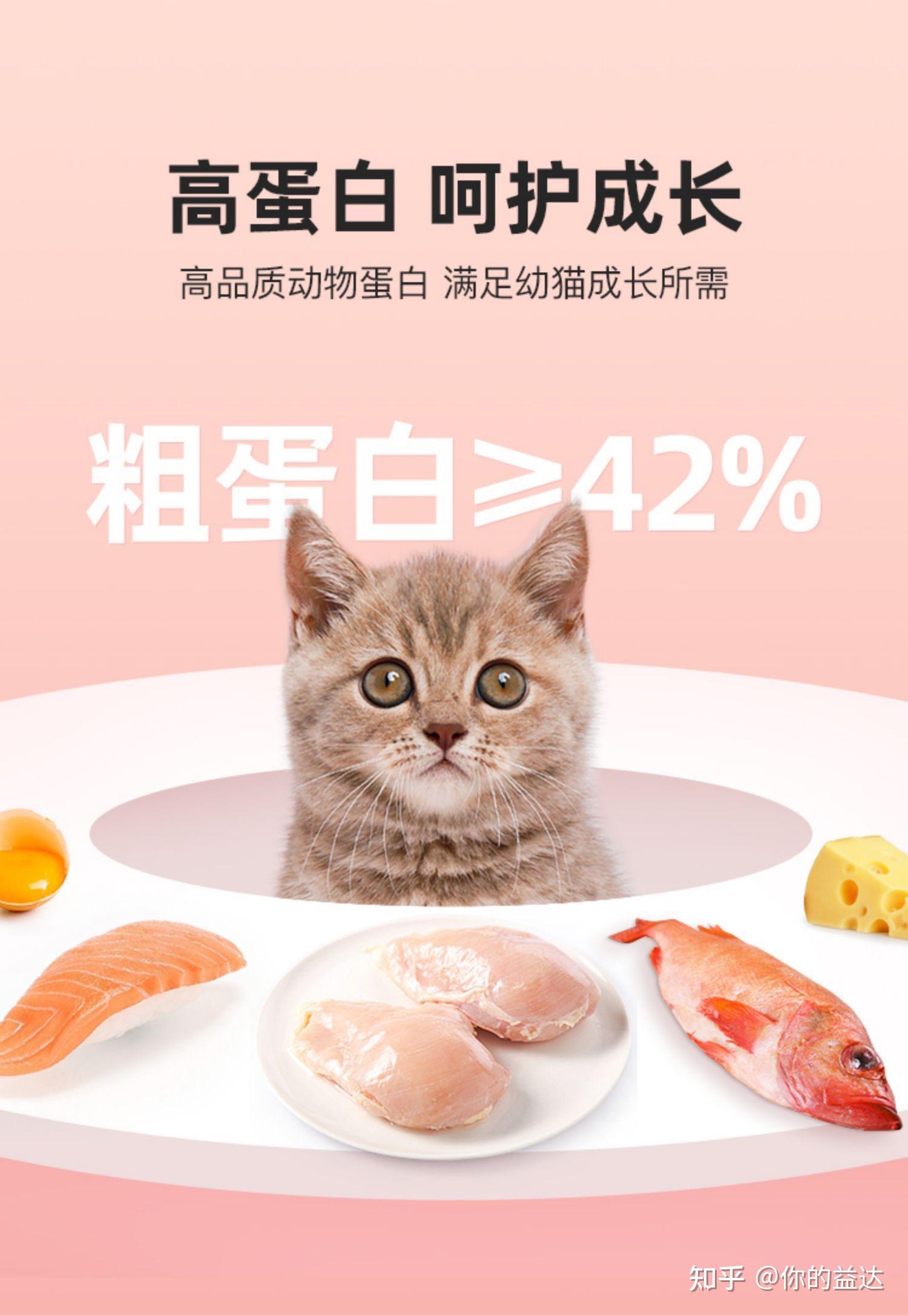 适合幼猫吃的猫粮有哪些? - 知乎