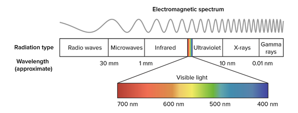 Do Infrared Waves Have A Shorter Or Longer Wavelength Than X Rays