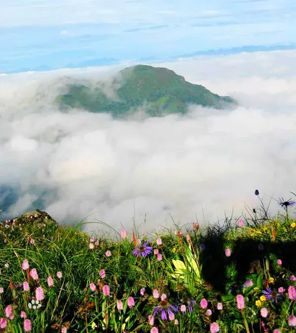 甘洛縣最高峰—馬鞍山,海拔4288m甘洛連綿山脈 來自涼山州智慧旅遊(有