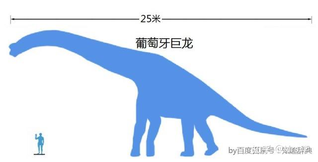 你发现了吗？最大肉食恐龙与最大植食恐龙 - 知乎