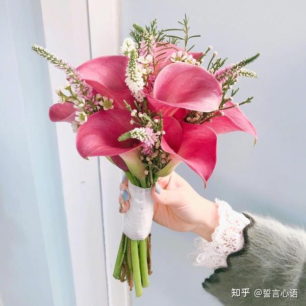 南丰蜜桔节祝福_女神节快乐祝福语简短_教师节快乐祝福语简短