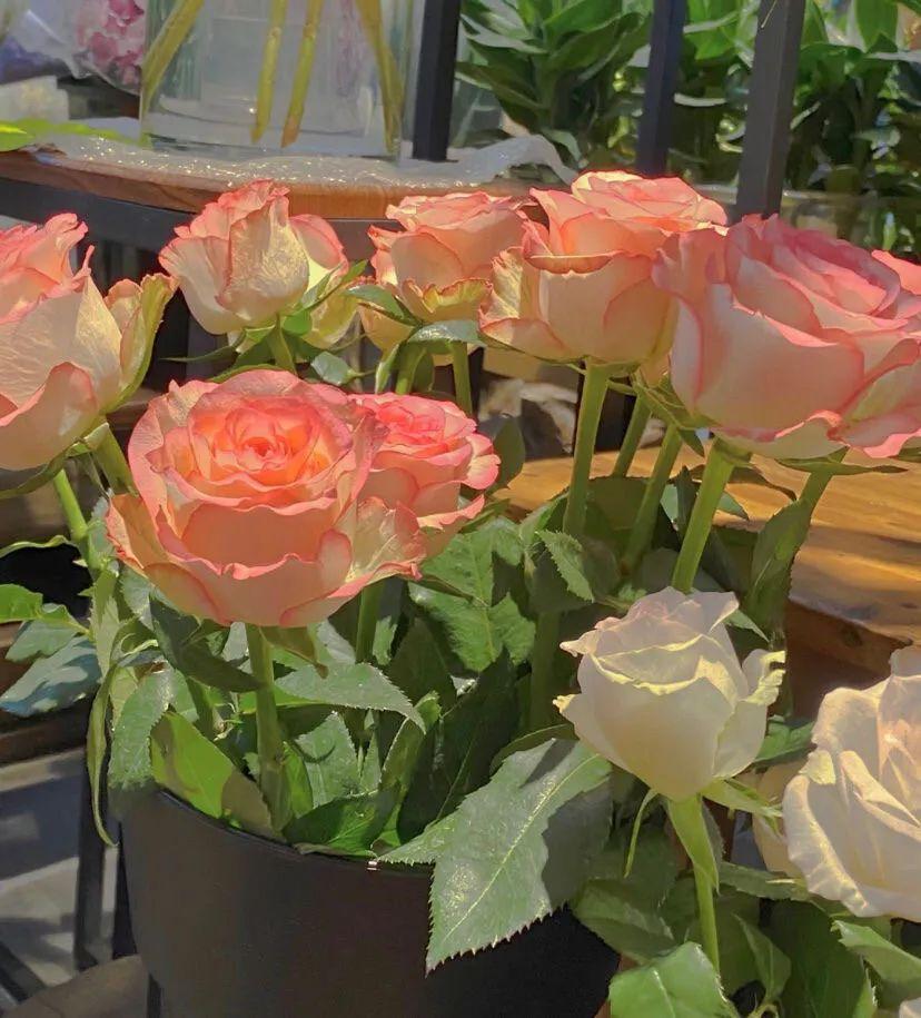 124张小众但是很优质的背景图