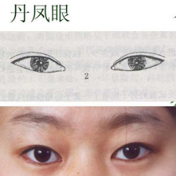 v2-54ec7f6ee139ebd04a5bdc3704f539e3_b.jpg
