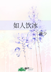 图标