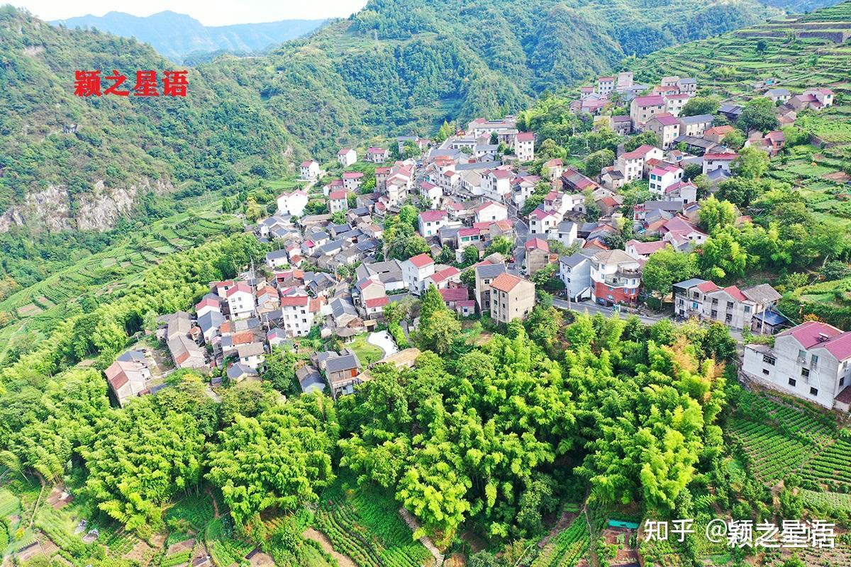广州从化发展乡村旅游呈现六大亮点，助力建设全国全省乡村振兴示范区_小镇