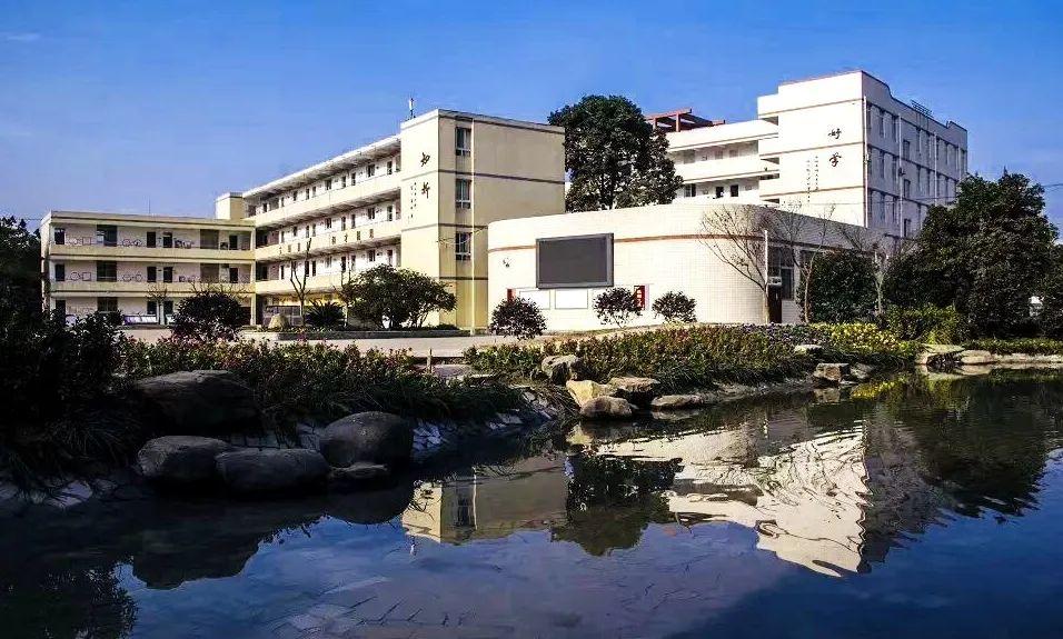 那一抹绿树荫荫,碧草青青龙泉中学校寄给你↓↓↓今天,我特意把你想要