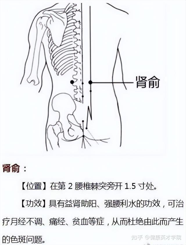 老中医:这9个穴位或助保健身体,记得收藏起来。 - 知乎
