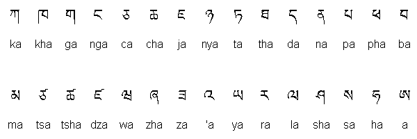 无需再拼音化,不过拉丁化还是可行的,现在已经有成型的藏文拉丁转写