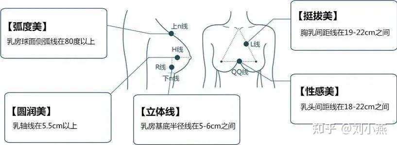 劉燕釀製看完火爆ins的美胸女神才明白平胸不可怕有胸卻醜才可怕