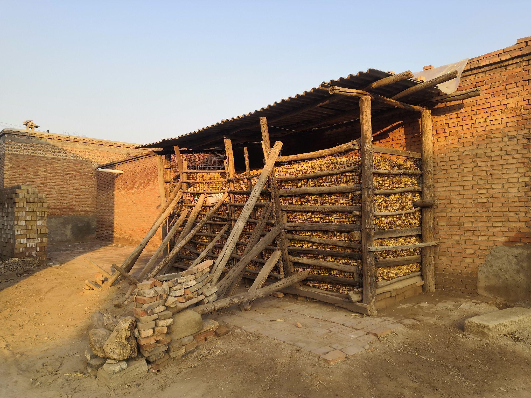 祁县农村玉米笼组图合集大全越失败越有趣