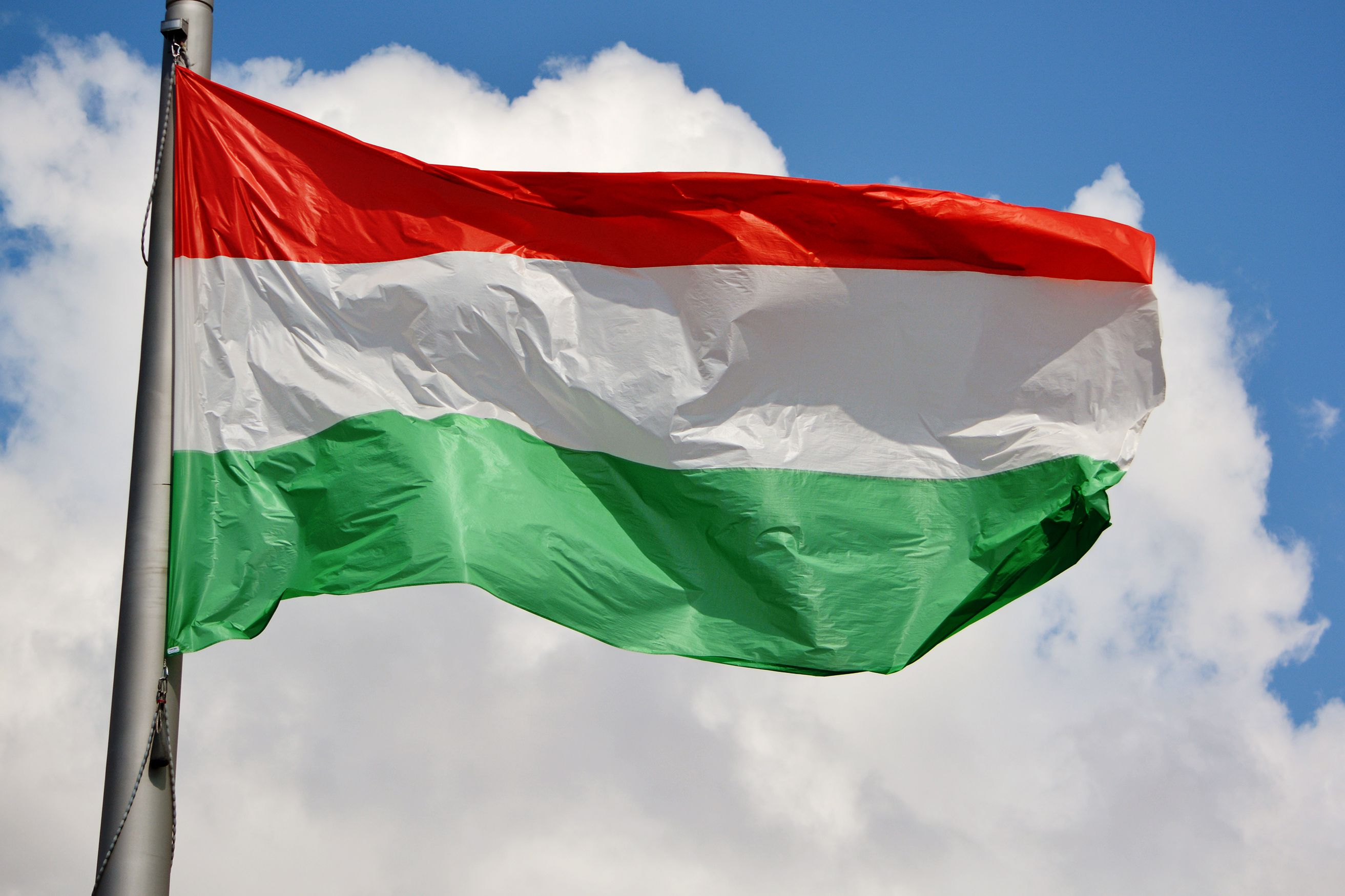 灵感来自于hungary,匈牙利国旗的颜色