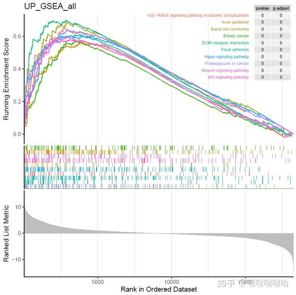 Rna Seq入门实战（七）：gsea——基因集富集分析 知乎