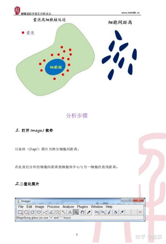 ImageJ如何做出高颜值SCI配图？看完直接冲上5分+！（附实用插件） - 知乎