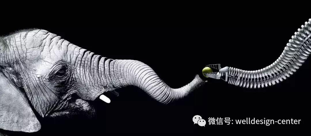 迄今为止有哪些著名的仿生学设计?哪个设计最成功? - 知乎