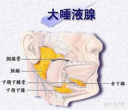 涎腺癌的原因至今尚未完全认识,但目前认为,多数涎腺癌的发生与环境