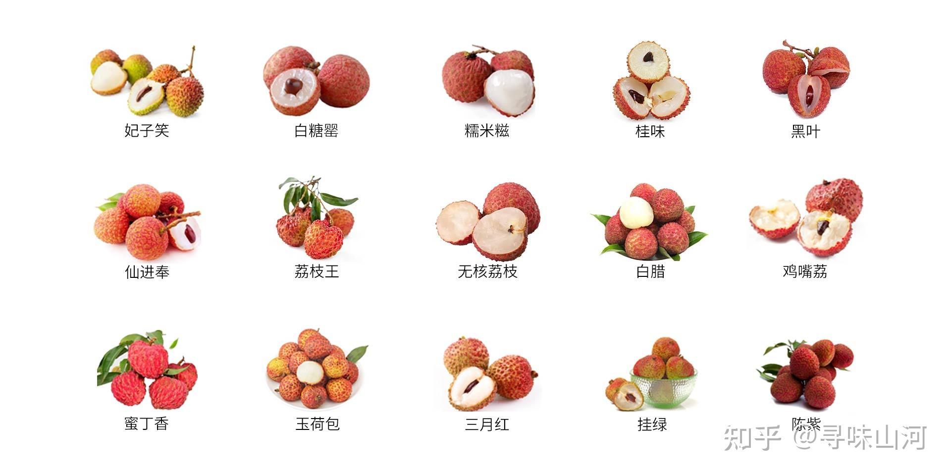 荔枝合集|常见15种荔枝的区别及口感 - 知乎