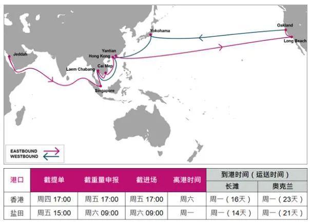 除了one,共艙的船公司還有hapag-lloyd,hmm,yang ming.