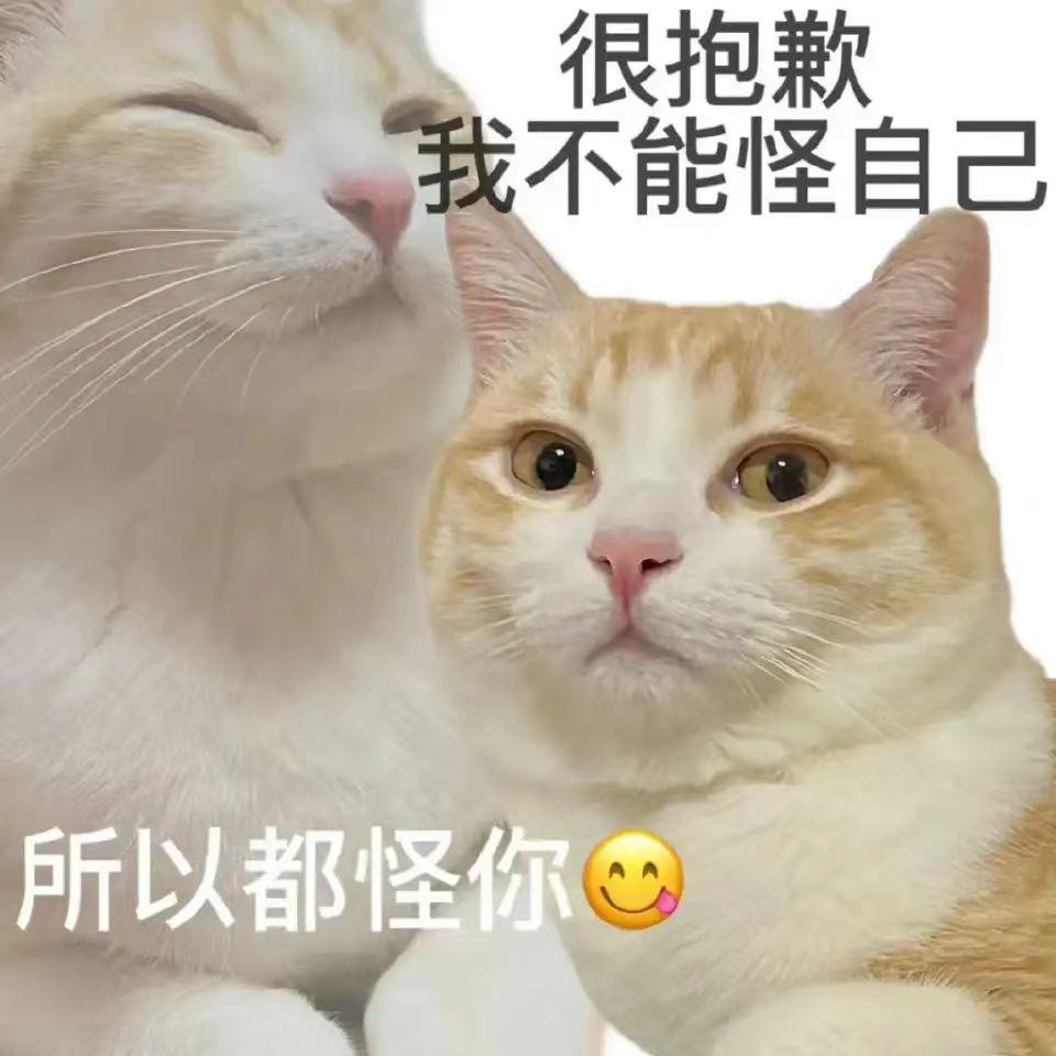 本田月销2.8万,暴跌近五成:曾经的日系霸主为啥卖不动了?