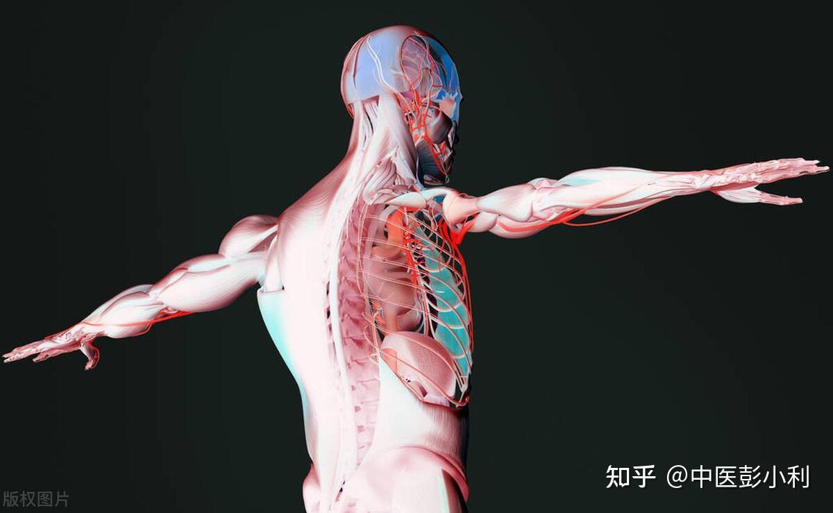 三焦不通怎么办?中医教你一招,简单拍打,打通三焦 - 知乎