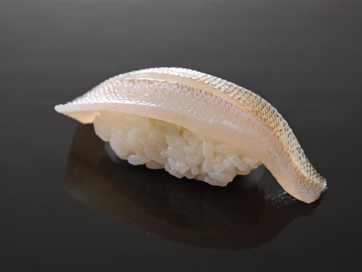 日本目光鱼图片
