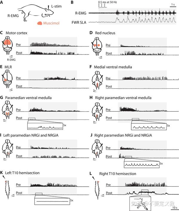 science-translational-medicine