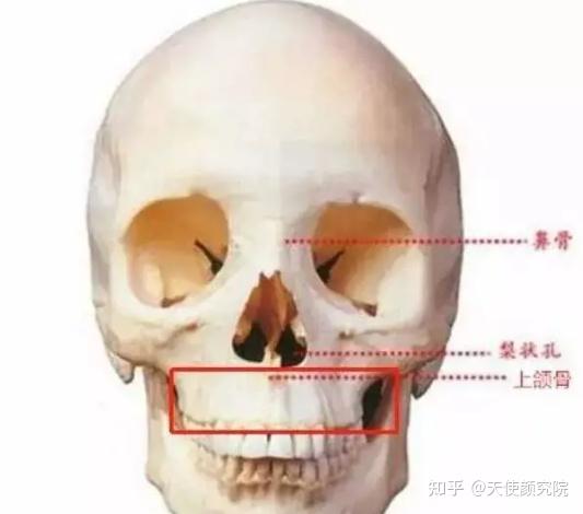 郑秀妍这段太蛊了吧!芒果台怎么能删了不播??!(郑秀妍签约英皇)