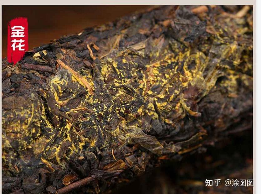 八仙金花茯茶  "茶中灵芝 能喝的古董"