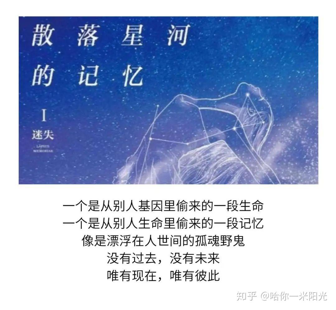 散落星河的记忆洛兰接纳自己的不完美追寻真正的自己