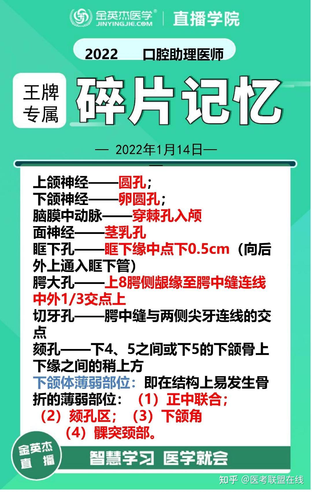牙龈固有层的纤维束中最多的是