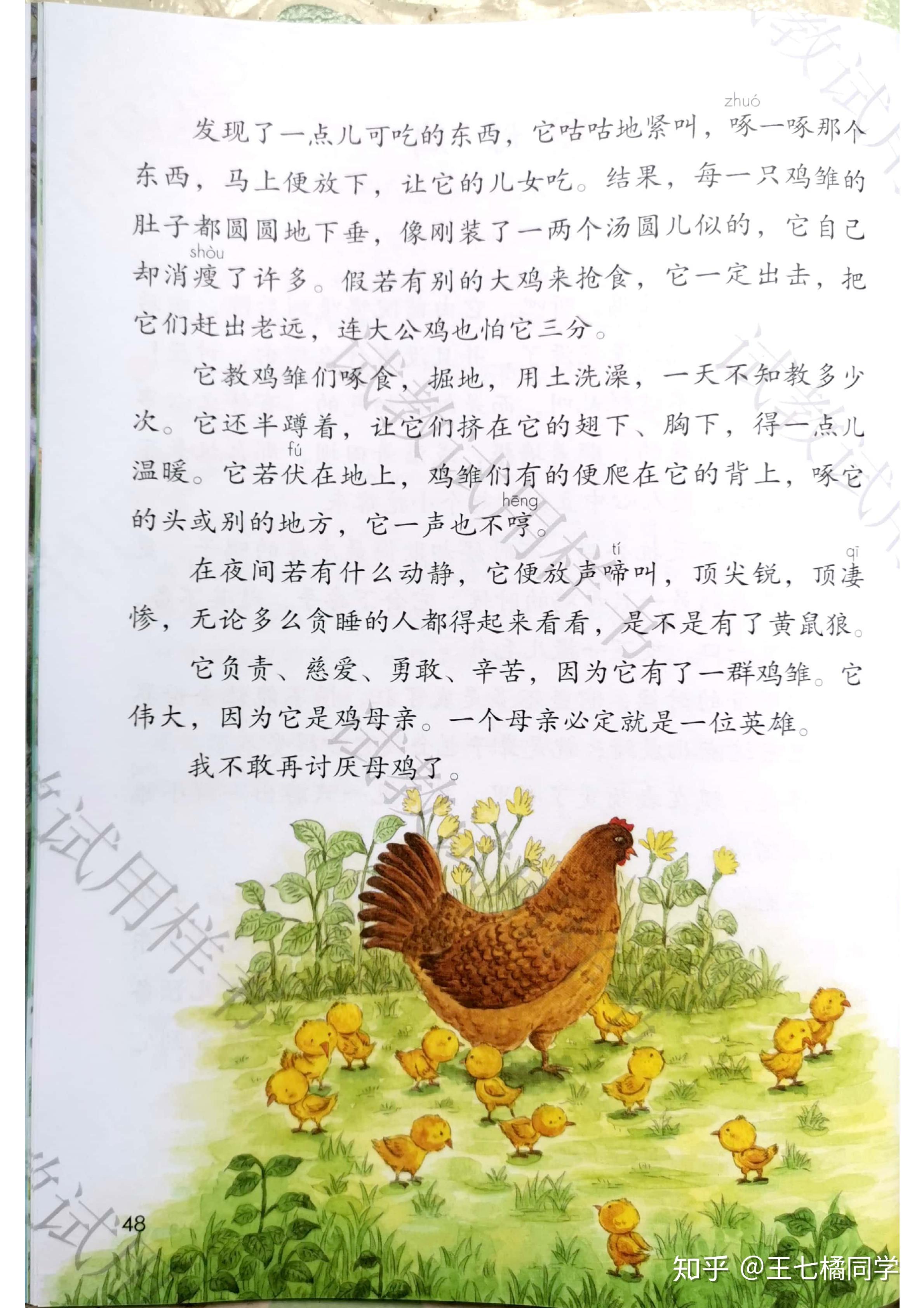 人教部编版小学四年级语文下册电子课本(家教必备电子教材)(四年级下册语文电子书人教版部编版)