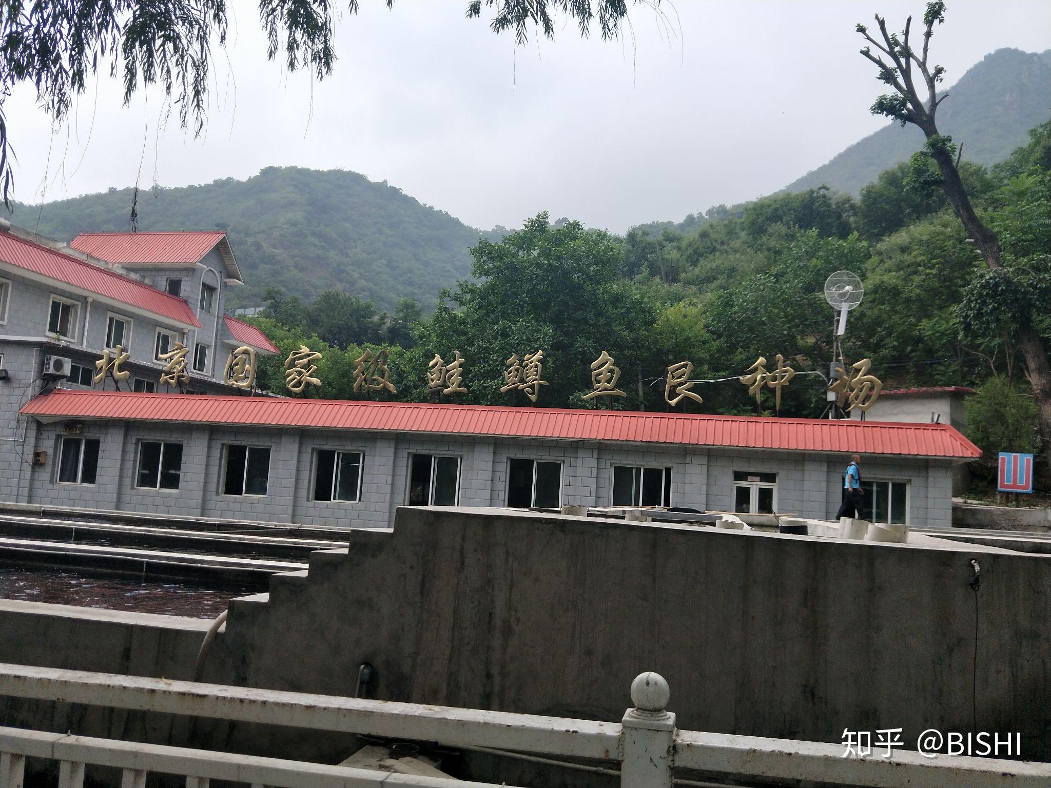 北京美食~北京顺通虹鳟鱼养殖中心