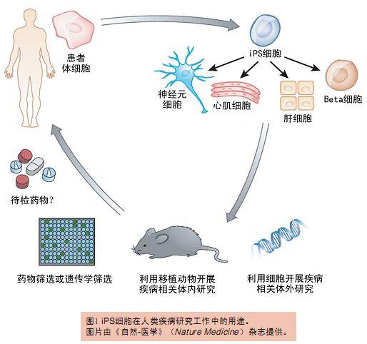 微博搜索