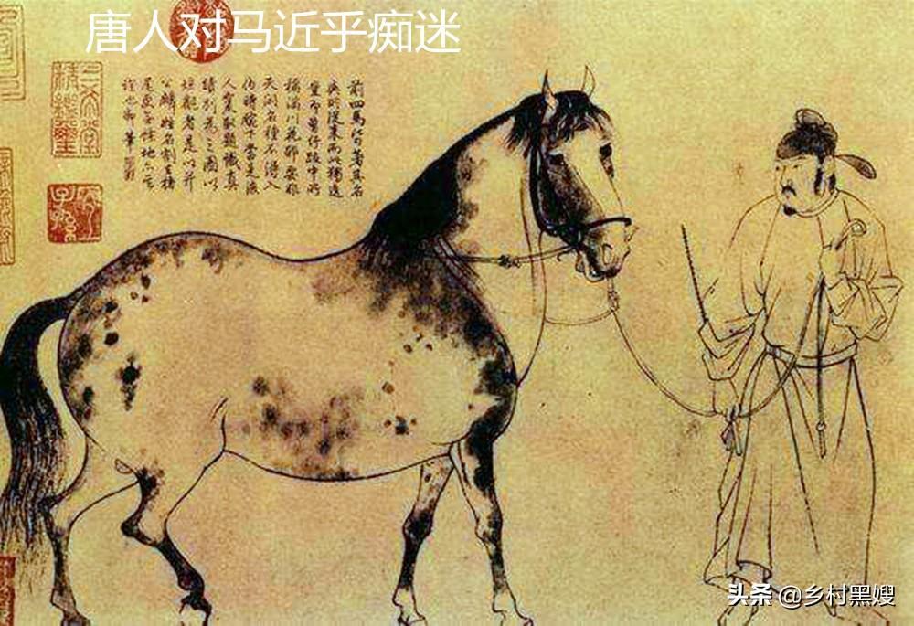 畜牧业在以前是什么样子?一口气带你搞懂古代畜牧业 - 知乎