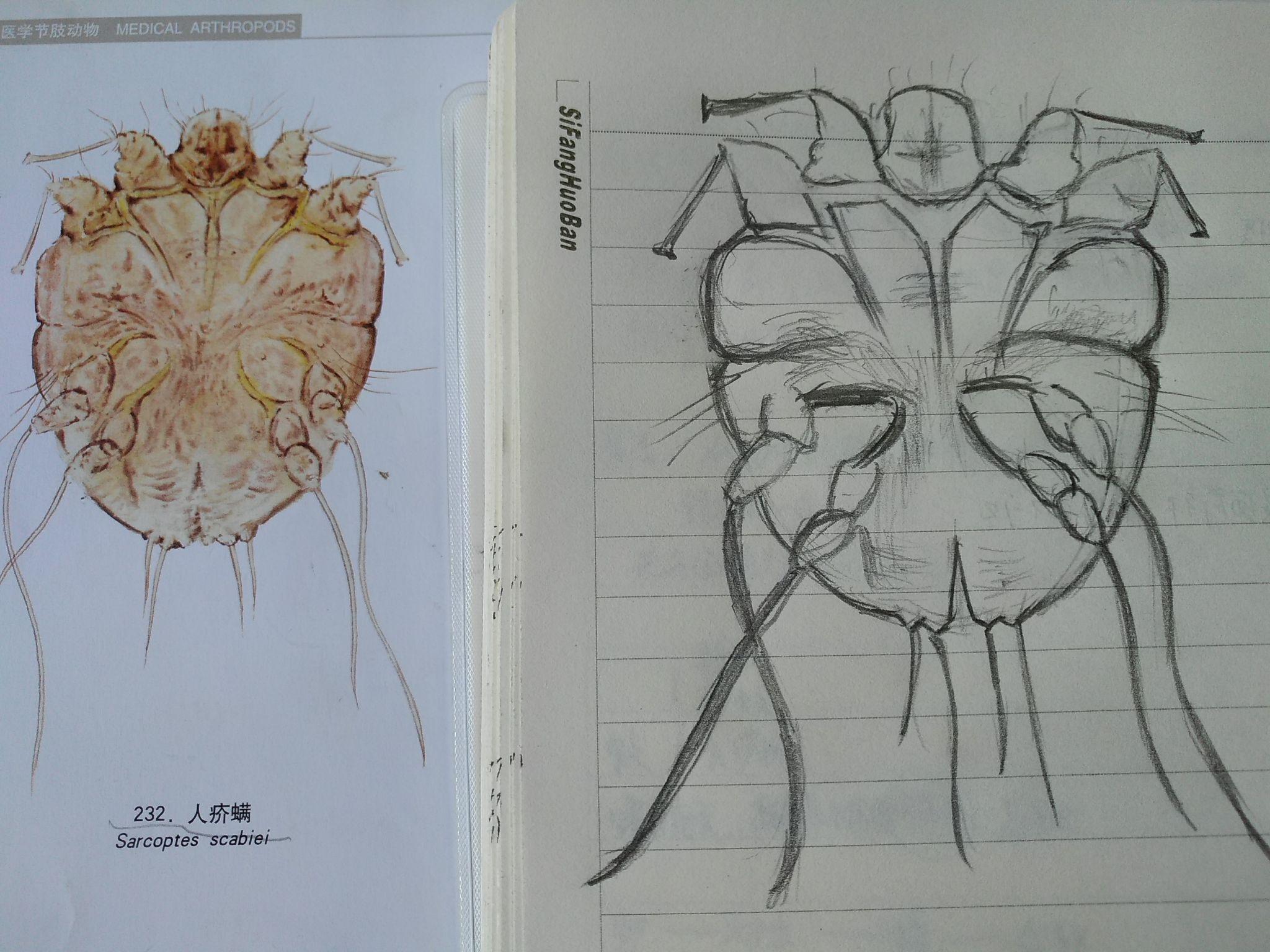 作为医学生大学到底要不要参加多种社团活动
