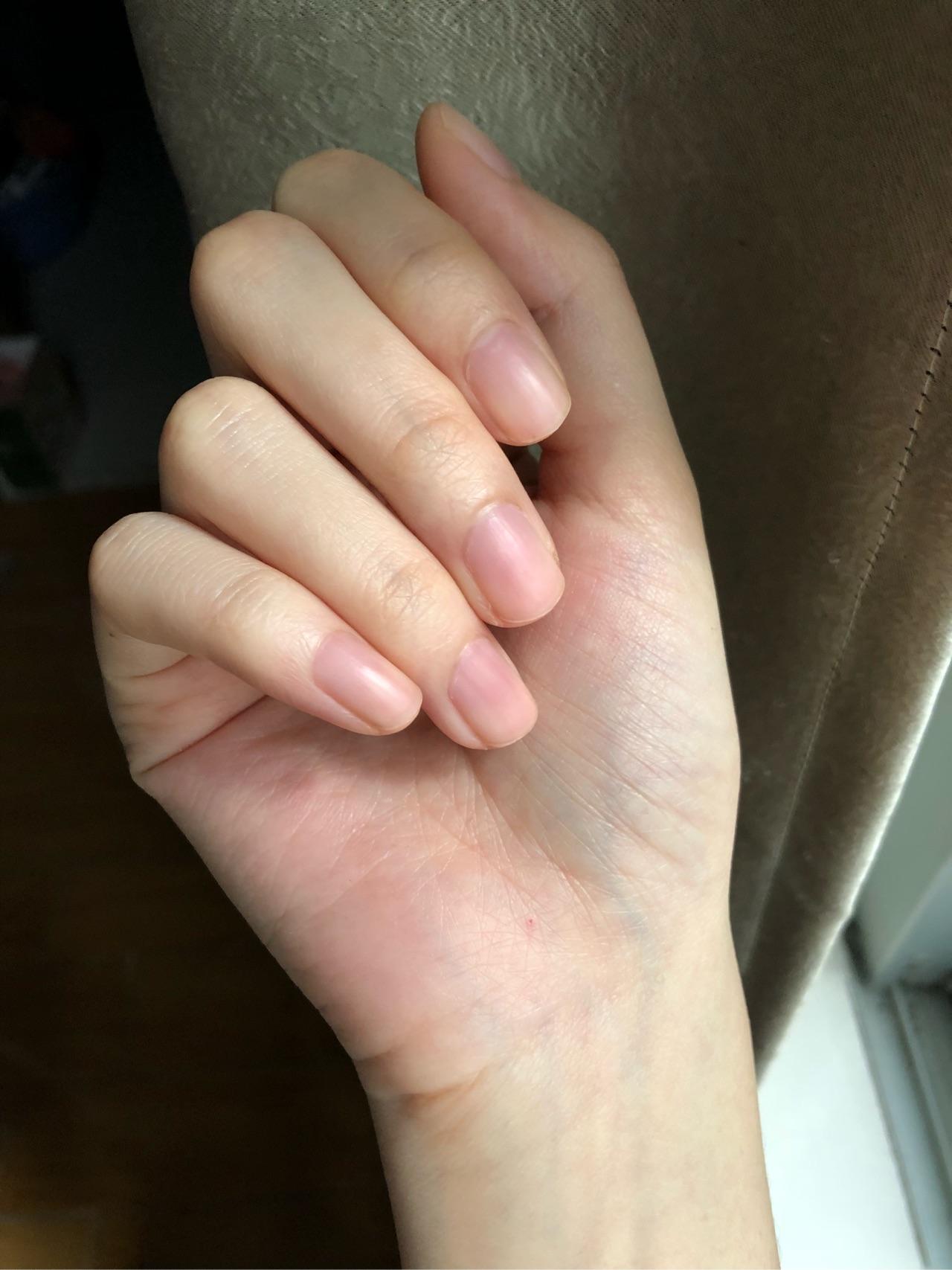 手是什么形状 v2-55bb5ffaf3c19c26eff48cd711e64f3b_r.jpg