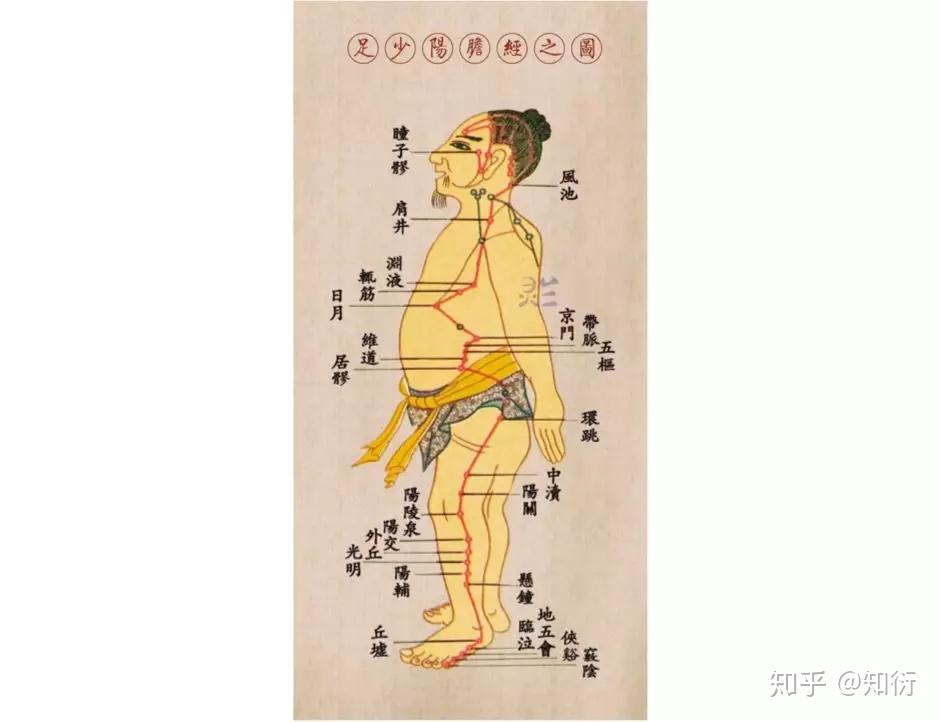 每天敲胆经三分钟，排毒通络补血 - 知乎