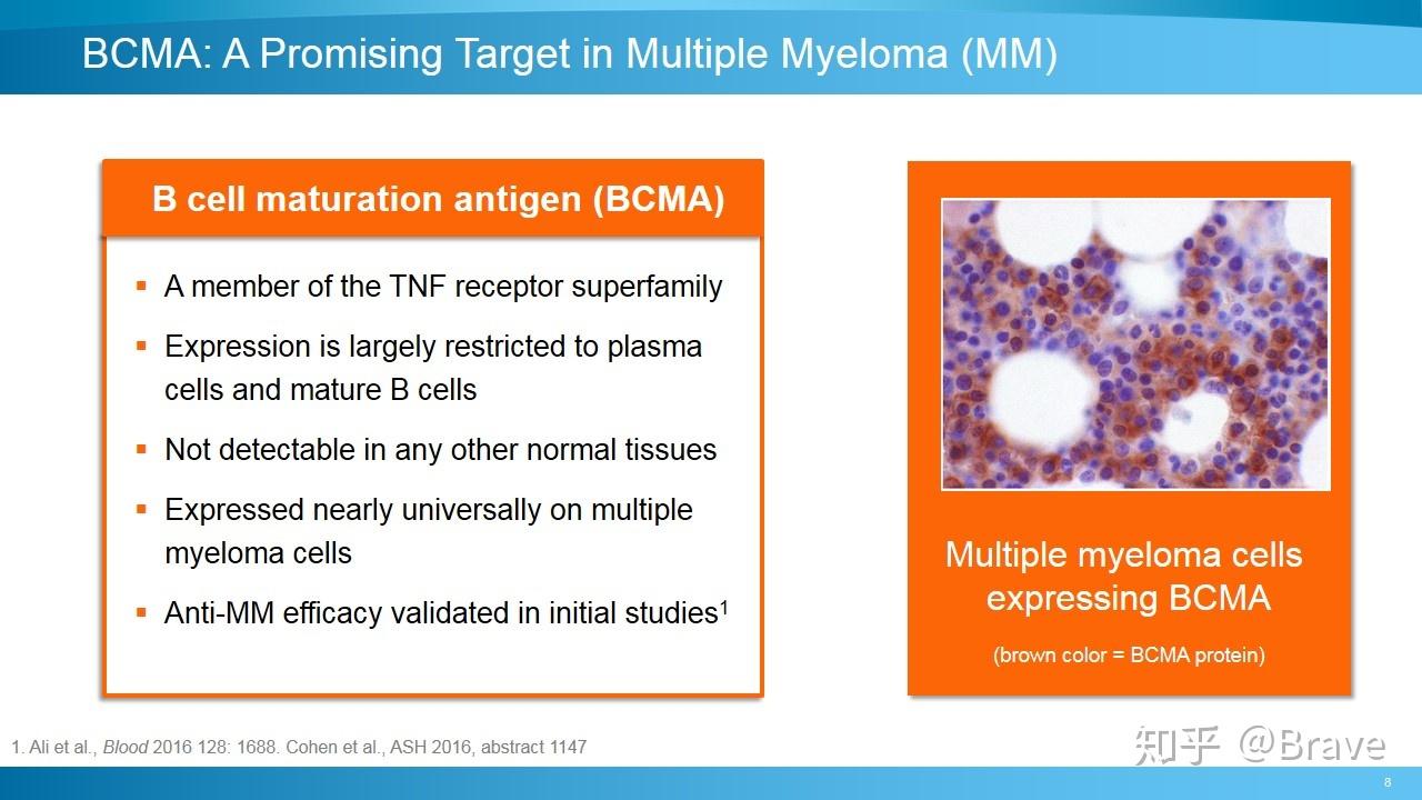 asco2018給複發性/難治性多發性骨髓瘤患者帶來了新的希望:以b細胞