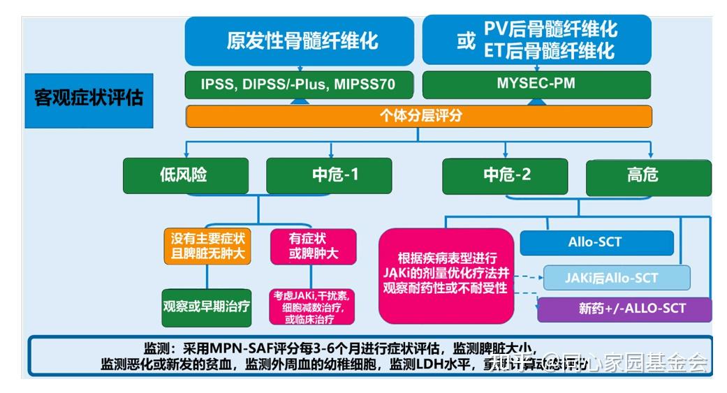 专家讲座 | 张磊教授带您了解原发性血小板增多症的诊断与治疗(下)